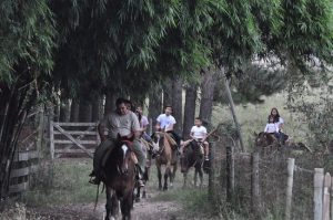Cabalgatas en el Palmar