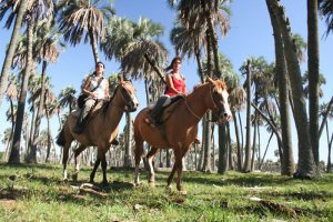Cabalgatas en el Palmar